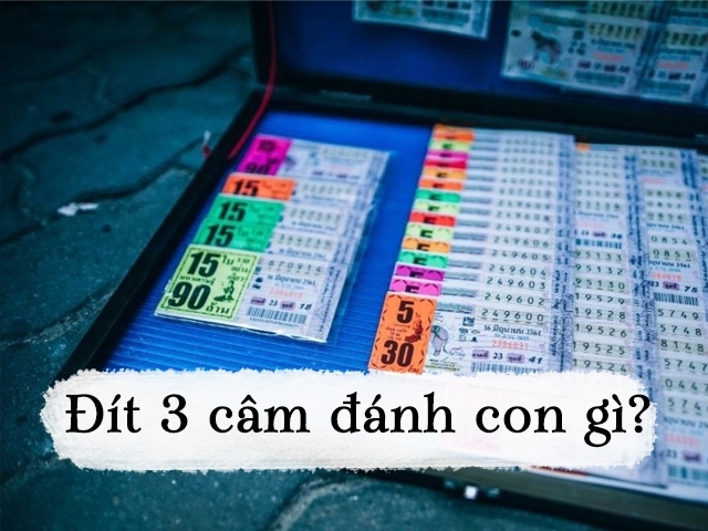 Đít 3 câm đánh con gì vào hôm sau để thu được nhiều tài lộc? Đít 3 câm đánh con gì vào hôm sau để thu được nhiều tài lộc?